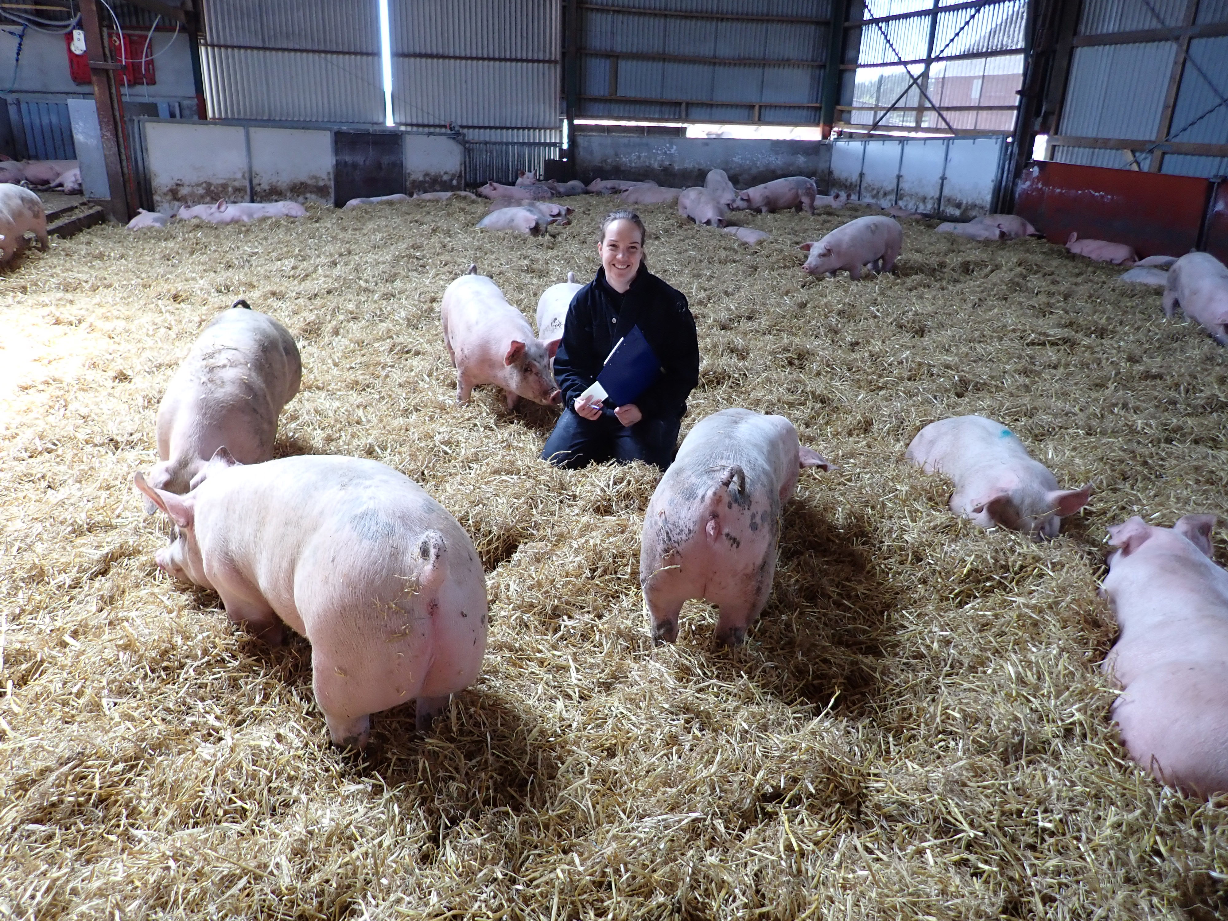 Portrait photo of Elin Karlsson