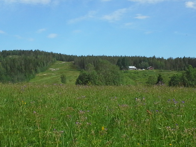 Foto: Jordbruk, skog och/eller skidbacke? Marco Eimermann, 2018.