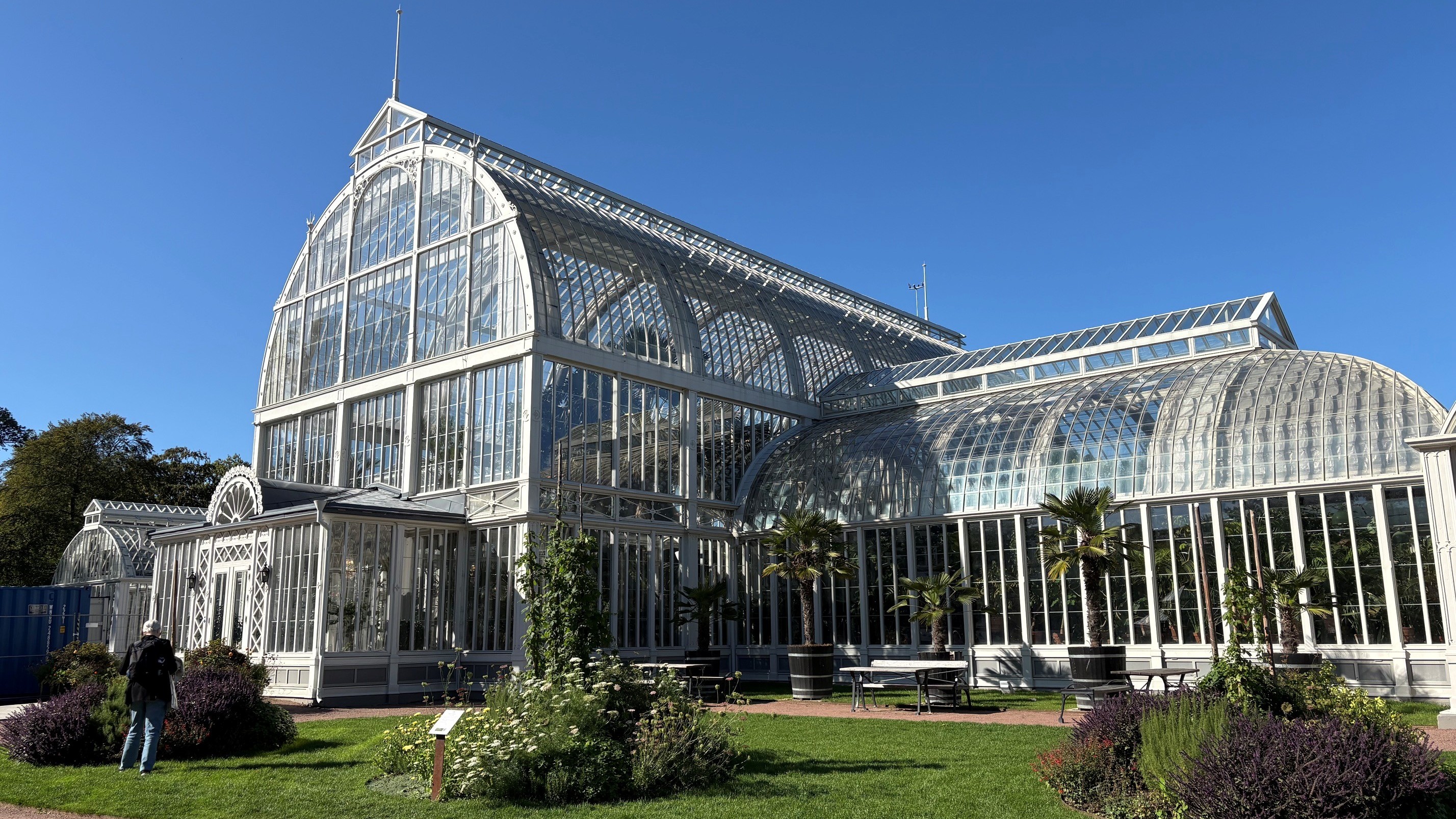 Närbild av Palmhuset i Göteborgs trädgårdsförening. Palmhuset är ett stort växthus från 1800-talet.