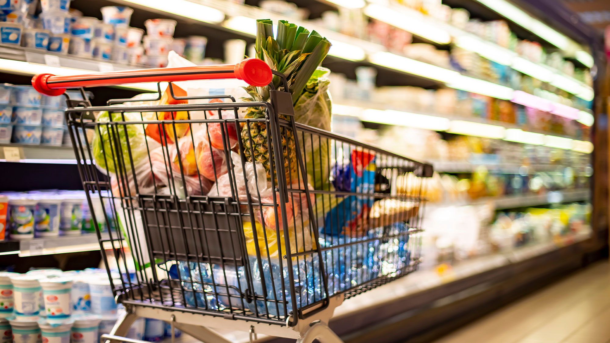 Kundvagn med matvaror. Foto: Shutterstock