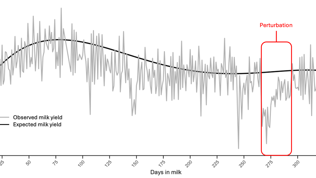 Illustration of graph on heat stress in dairy cows.