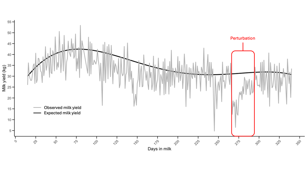 Illustration of graph on heat stress in dairy cows.