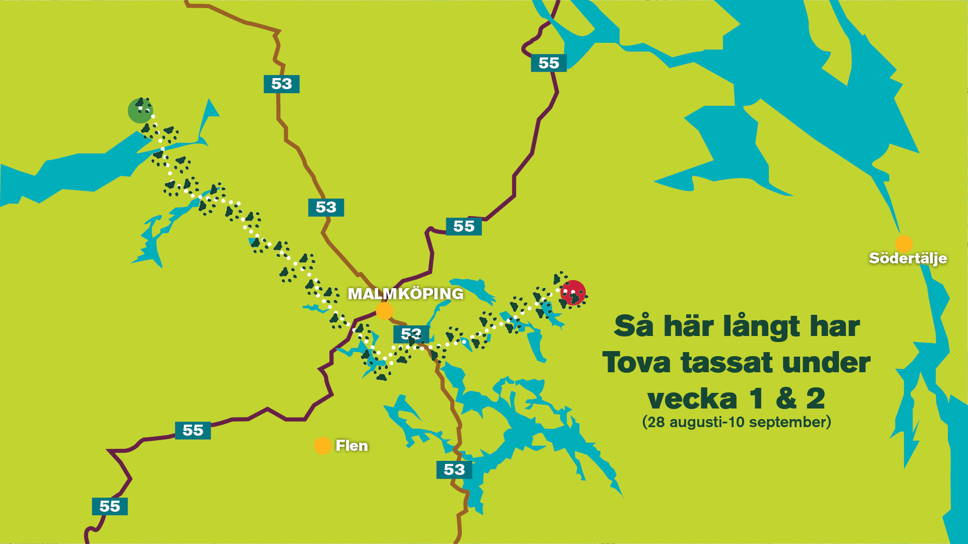 Stiliserad karta över mellansverige som visar hur ett lodjur färdats under två veckor i början av september 2025. Illustration.
