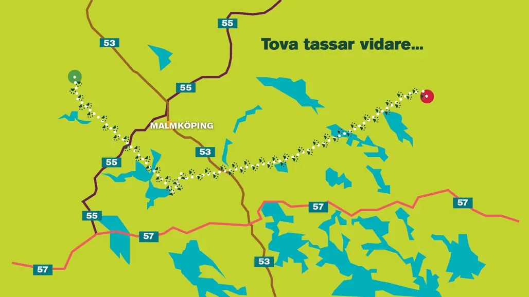 Stiliserad karta över mellanSverige, som visar hur ett lodjur rör sig i närhetne av orten Malmköping. Illustration