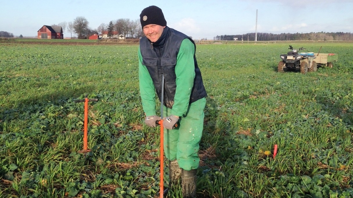 Johan Fredriksson tar jordprover i växtföljdsförsöket. Foto: Sofia Delin.