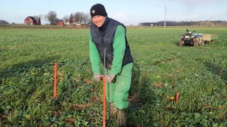 Johan Fredriksson tar jordprover i växtföljdsförsöket. Foto: Sofia Delin.