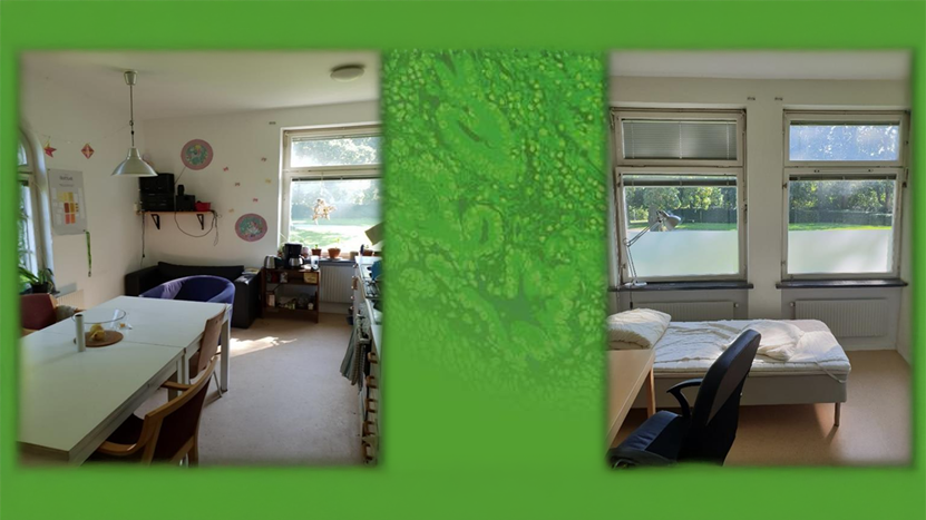 Interiors from student rooms