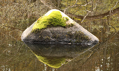 Stenen speglar sig i vattnet. Illharjens naturreservat, Vetlanda.
