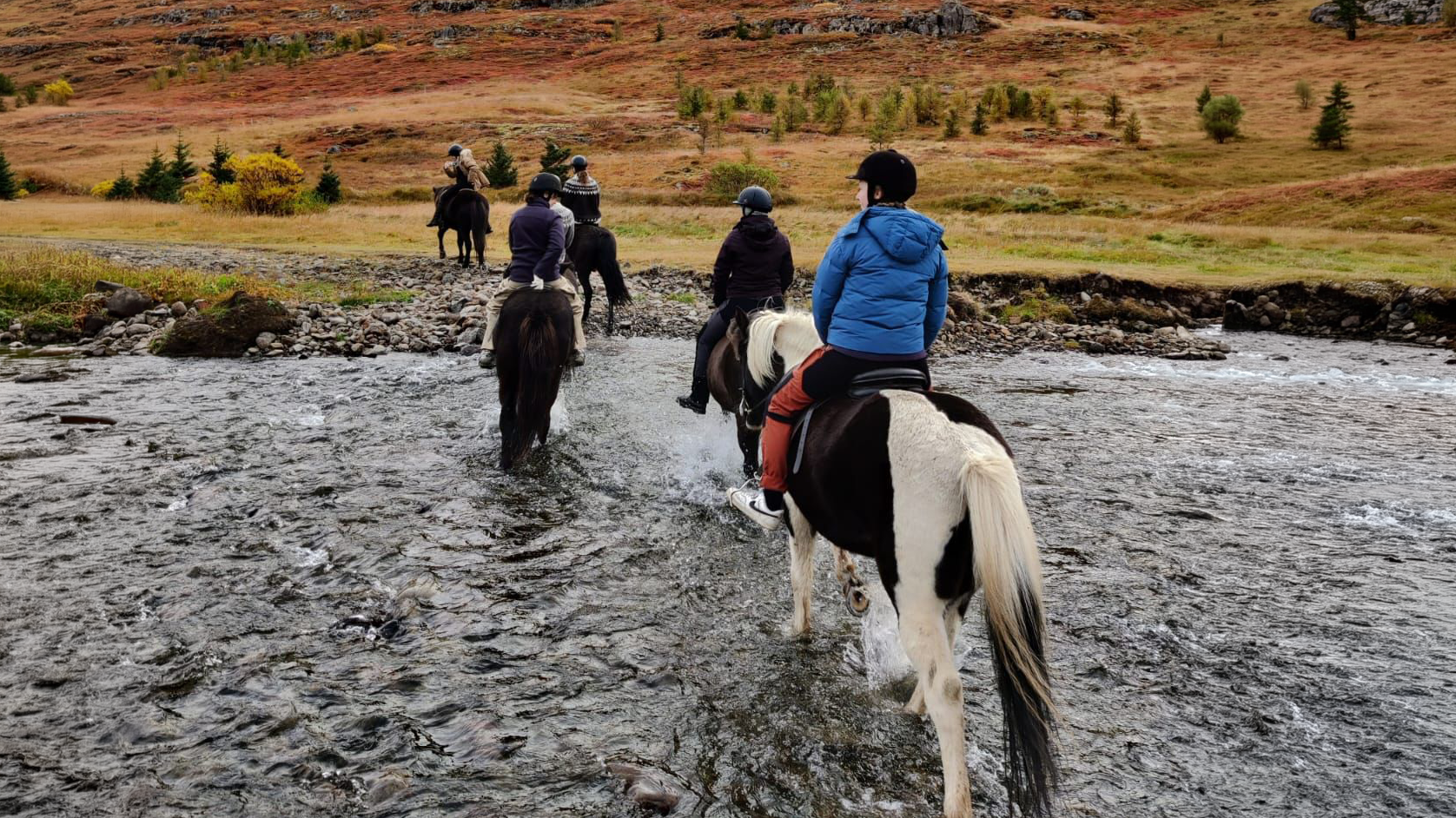 Horseback riding in the Westfjords  of Iceland