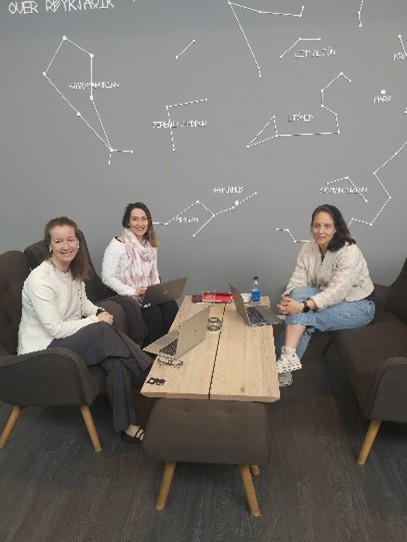 Forskare från nätverket samlades för en workshop på Island