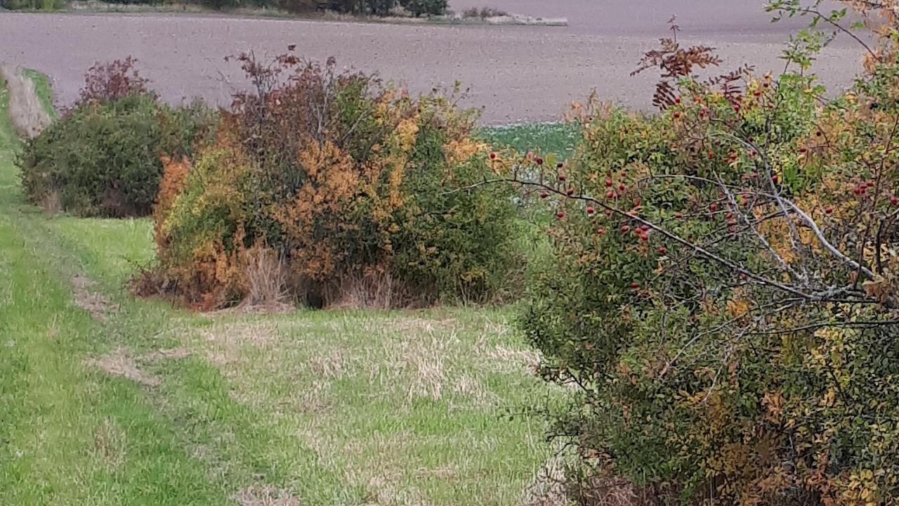 Kantzonen i Ekenäs.