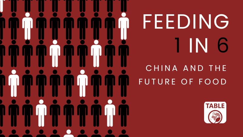 China and the future of food. Illustration.