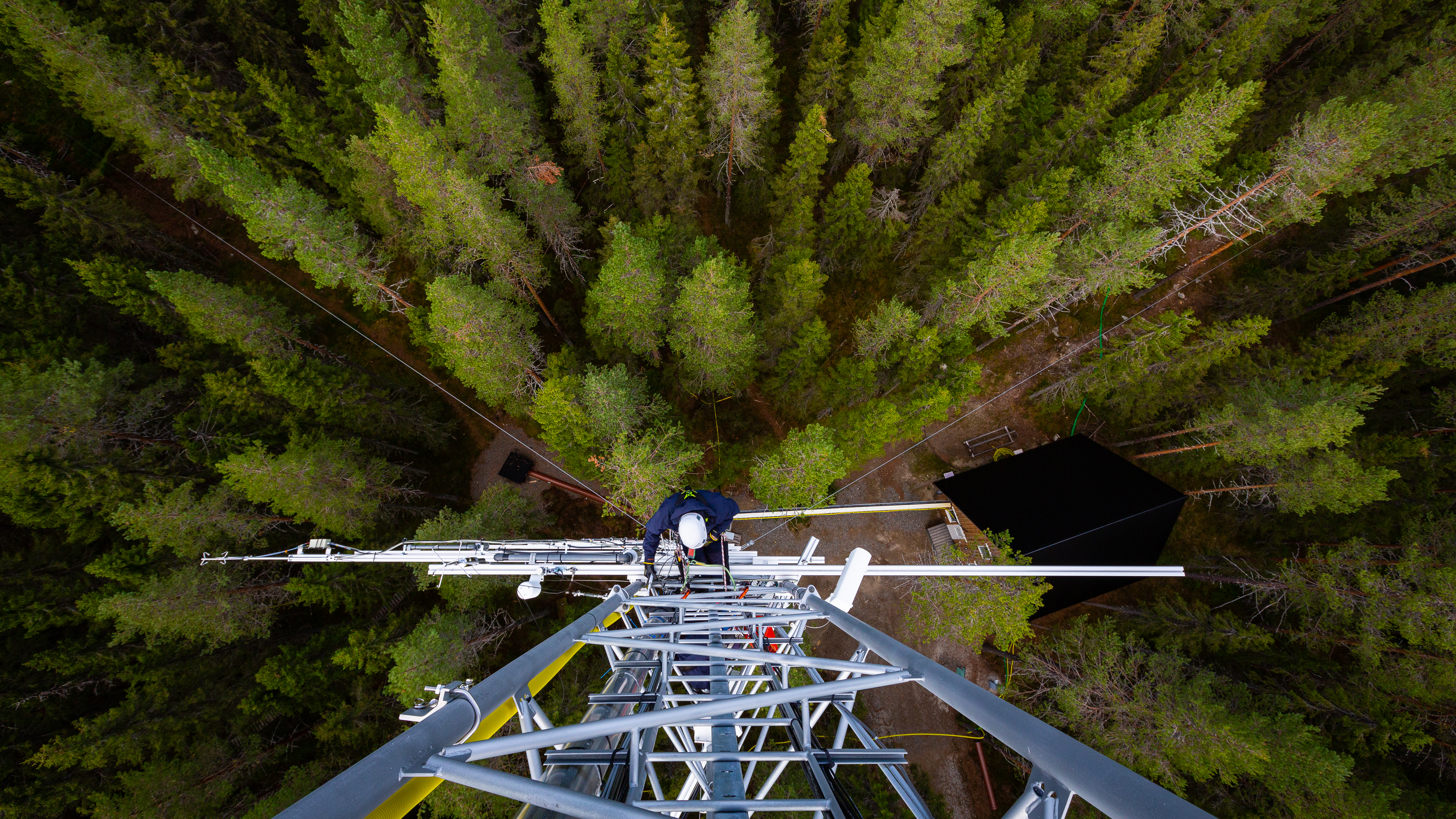 Person climbing an ICOS tower at a field research site.