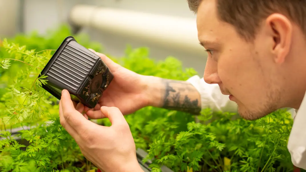 A man looks underneath a pot he is holding. Photo.