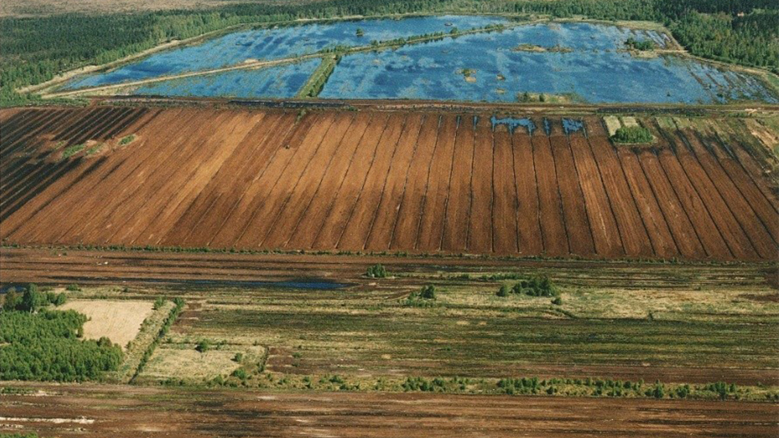 Torvtäkt och ny våtmark