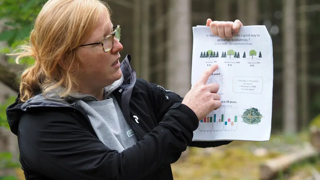 kvinna med poster i skogen