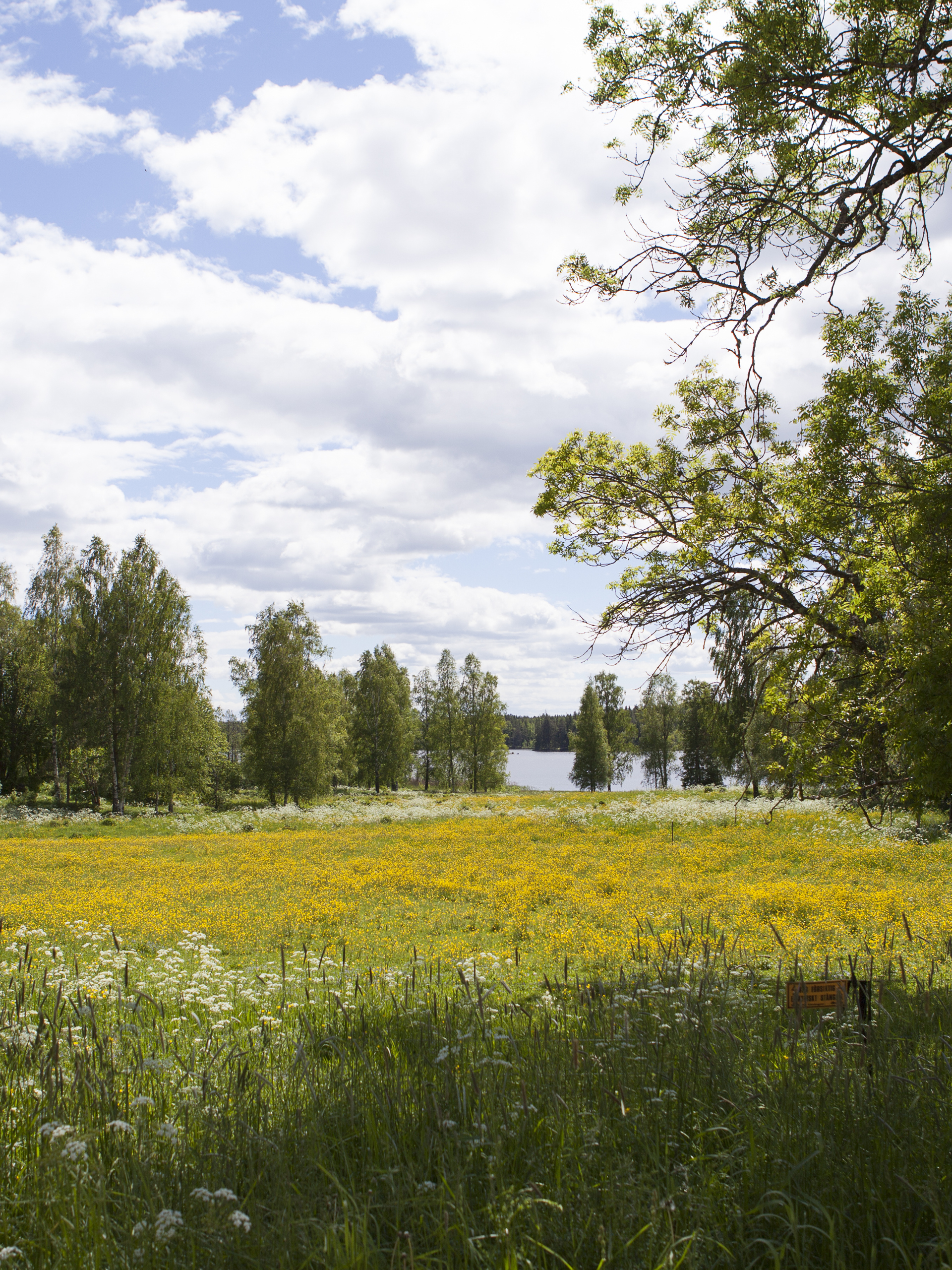 Utsikt över Bysjön från Grimsö forskningsstation. 