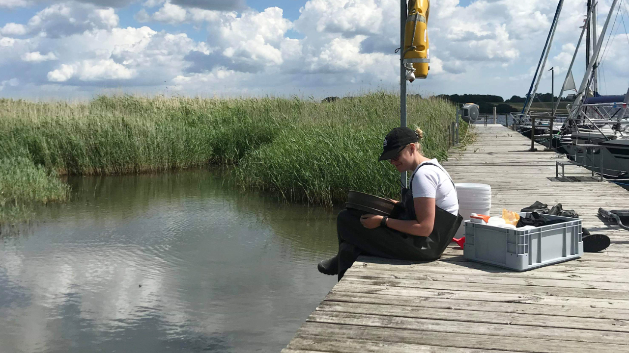 Sara Nicoline Grønlund Thorsted studied how pharmaceuticals disperse between water, sediment and living organisms. 
