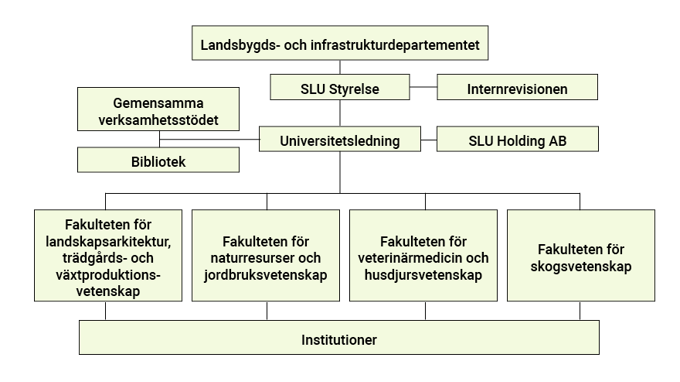 ett organisationschema