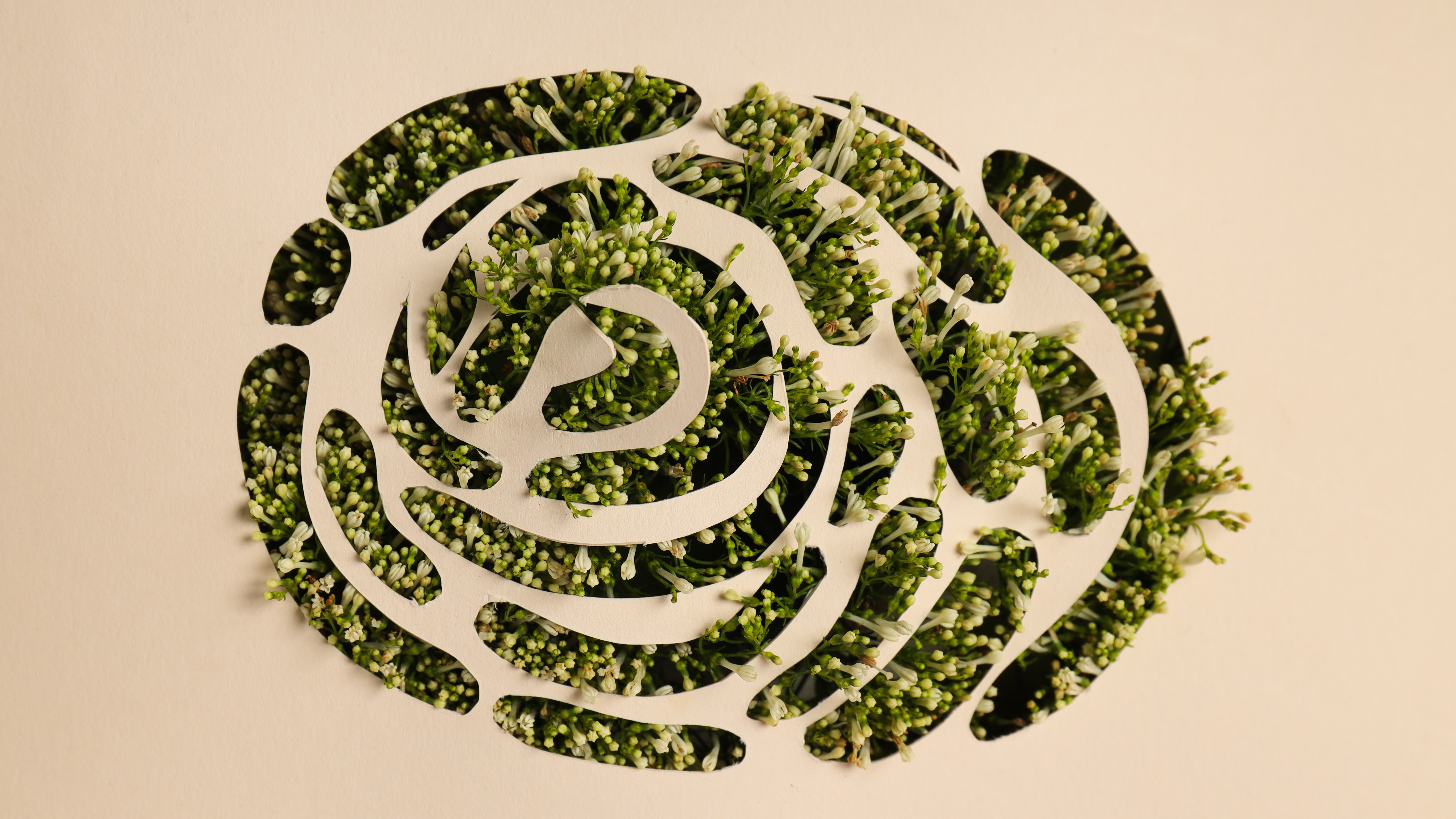 An illustrated fingerprint with plants growing underneath.