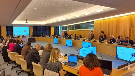side event UNFSS+4