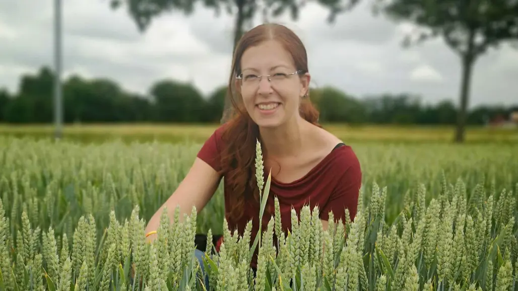 A woman sitting in a green wheat field. Photo.