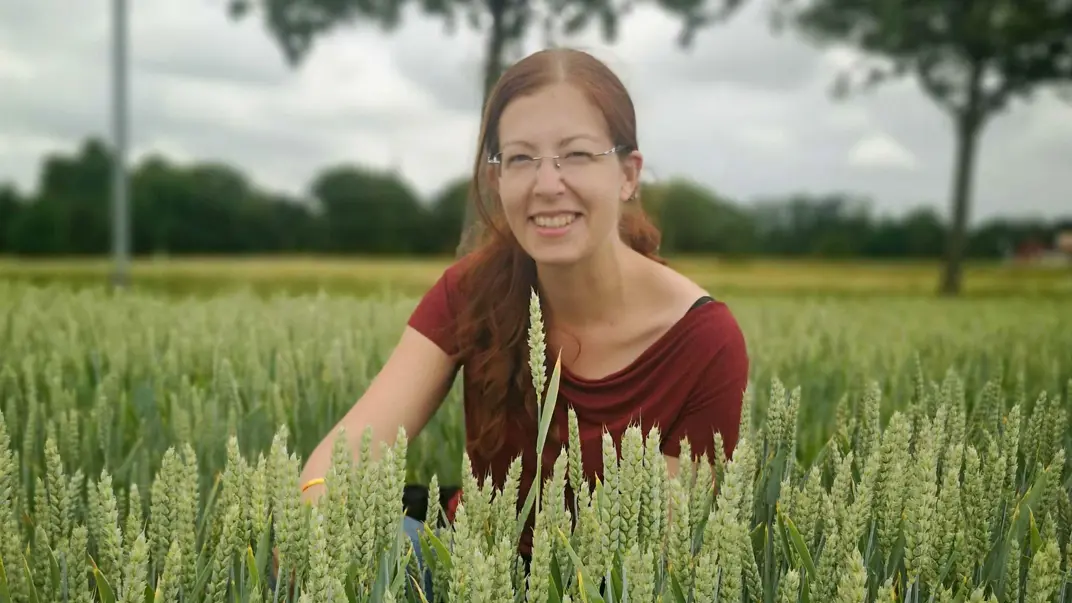 A woman sitting in a green wheat field. Photo.