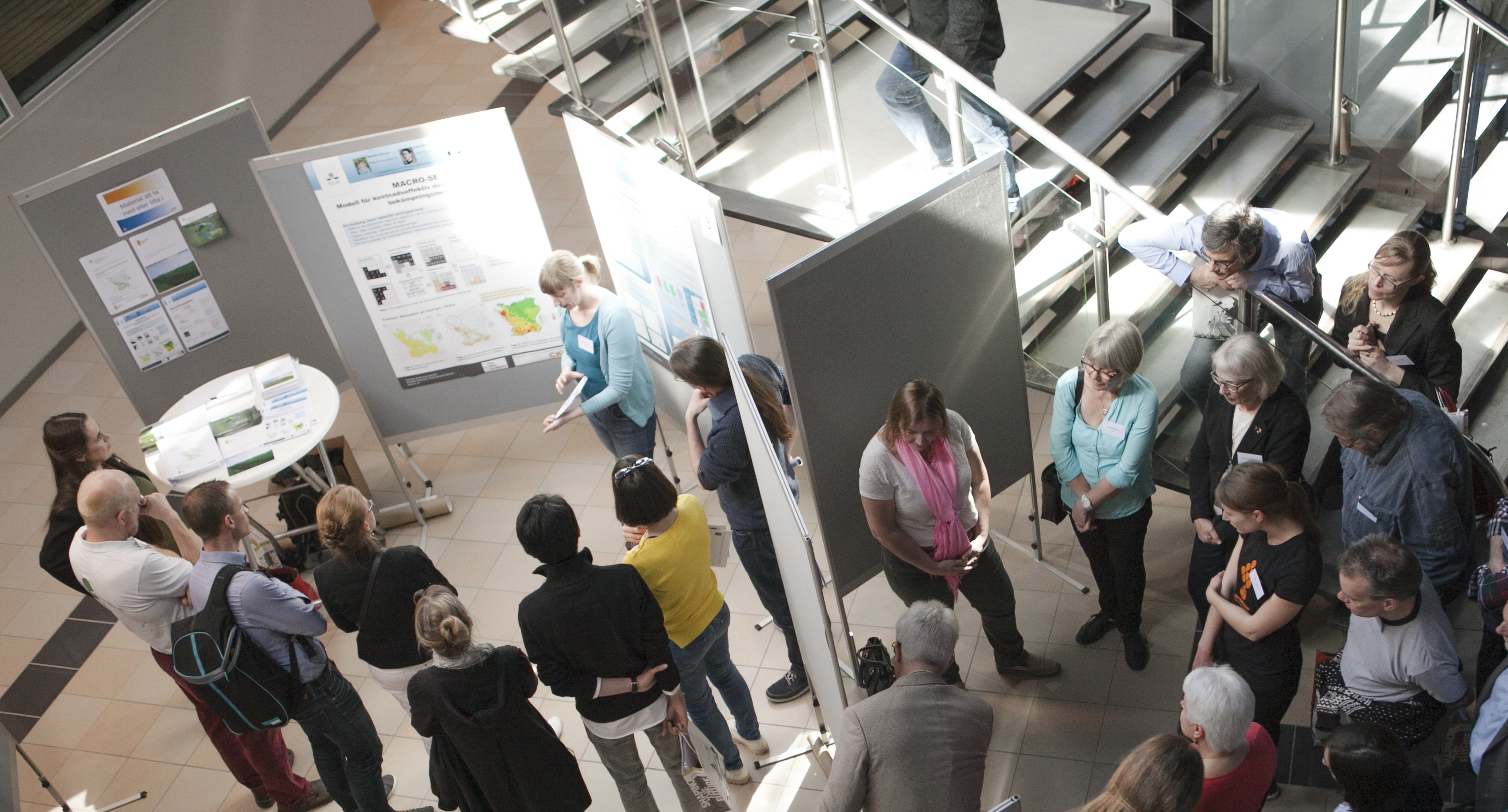 Posterpresentation på konferens