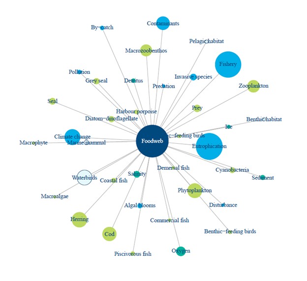Diagram som visar näringsvävar i mitten och olika andra komponenter i havet som tillhör näringsväven som pilar in mot mitten.