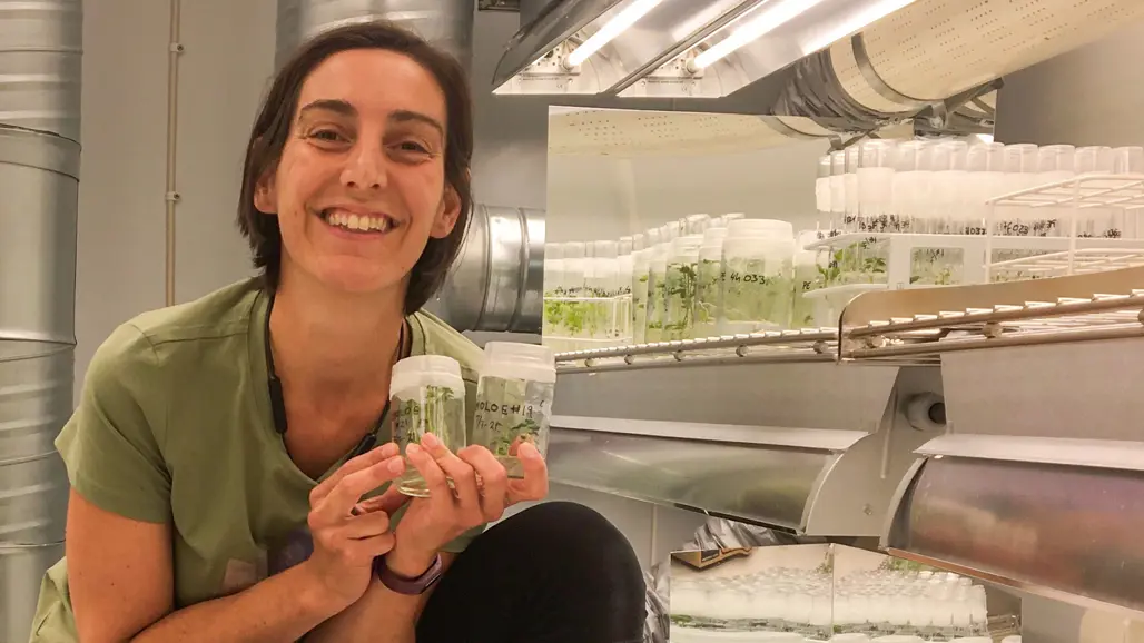 A woman in a lab with plants. Photo.