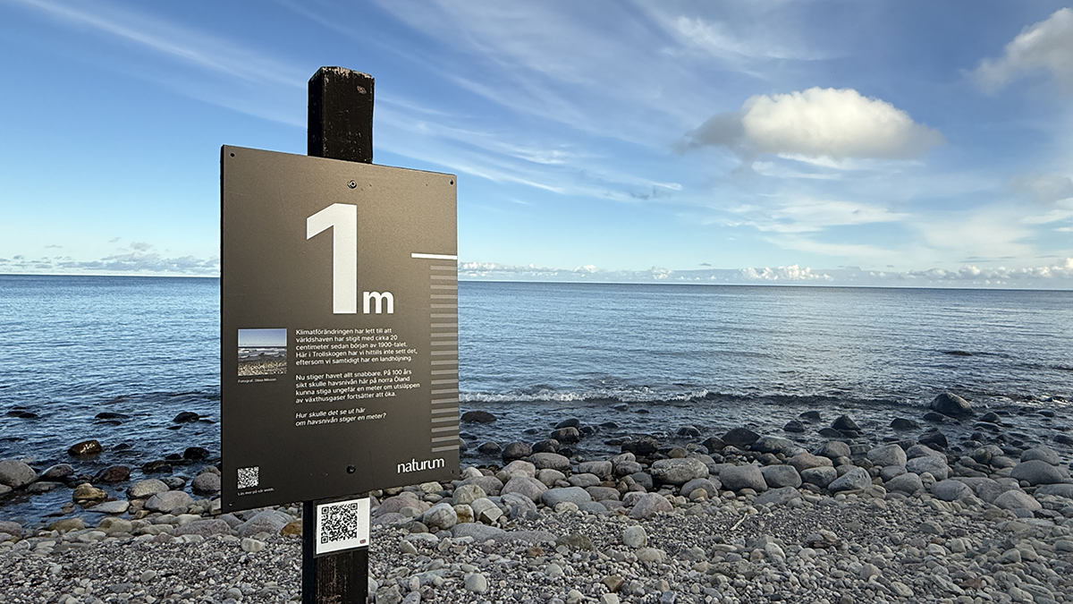 Från utställningen Räkna med förändring, vid naturum Trollskogen. Foto: Per Bengtson, CNV