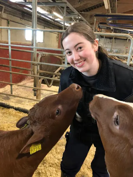 Claire Wegner in a barn with two SRB calves.