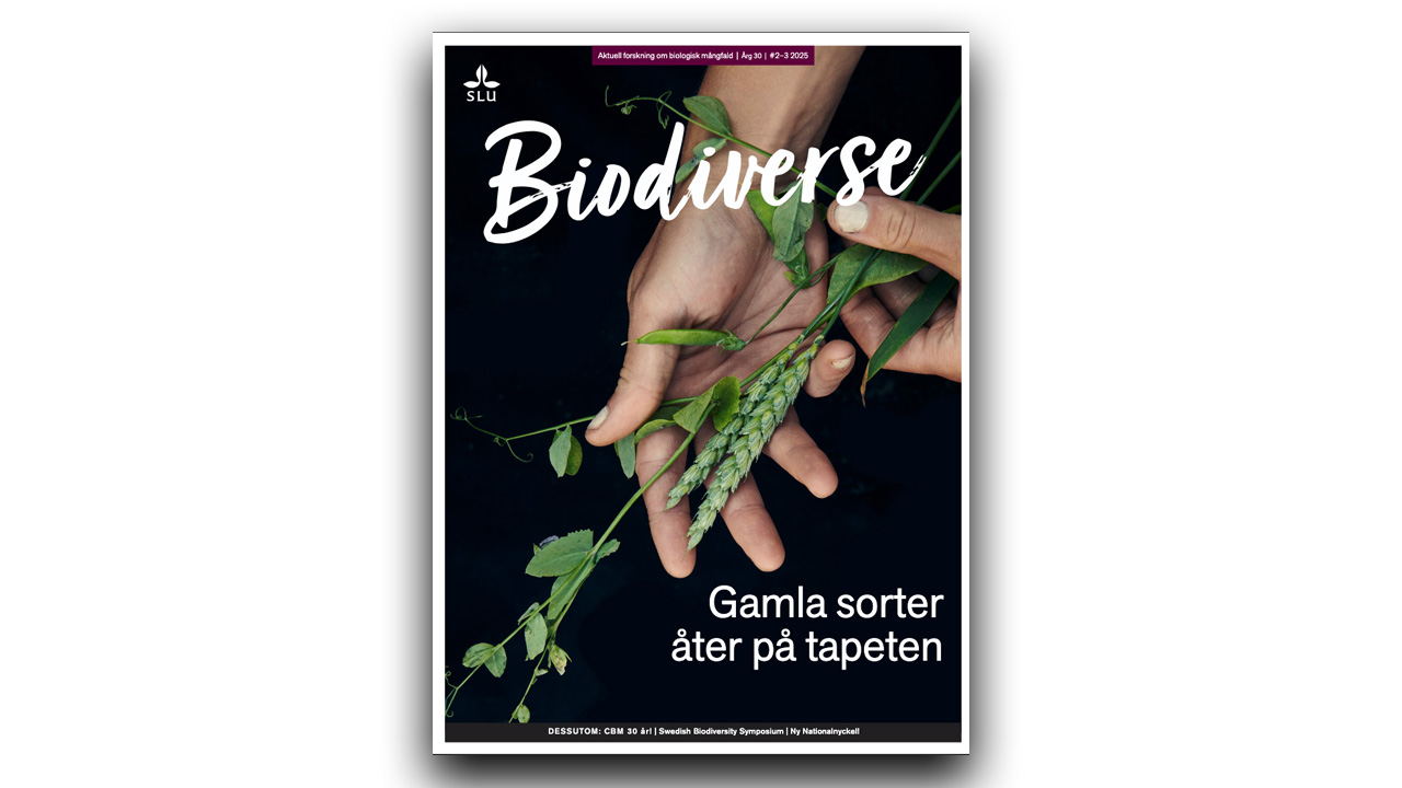 Framsidan av Biodverse, en hand håller i spanmål och baljväxter, svart bakgrund.