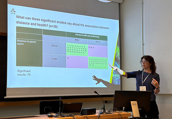 Rosa Danenberg presenting the litteratur review at the WPSC 2026 conference.