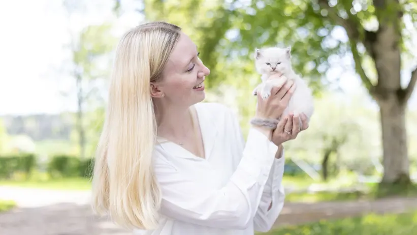 Photo of a woman (Linn Aksén, SLU) holding a Ragdoll kitten in her hands.