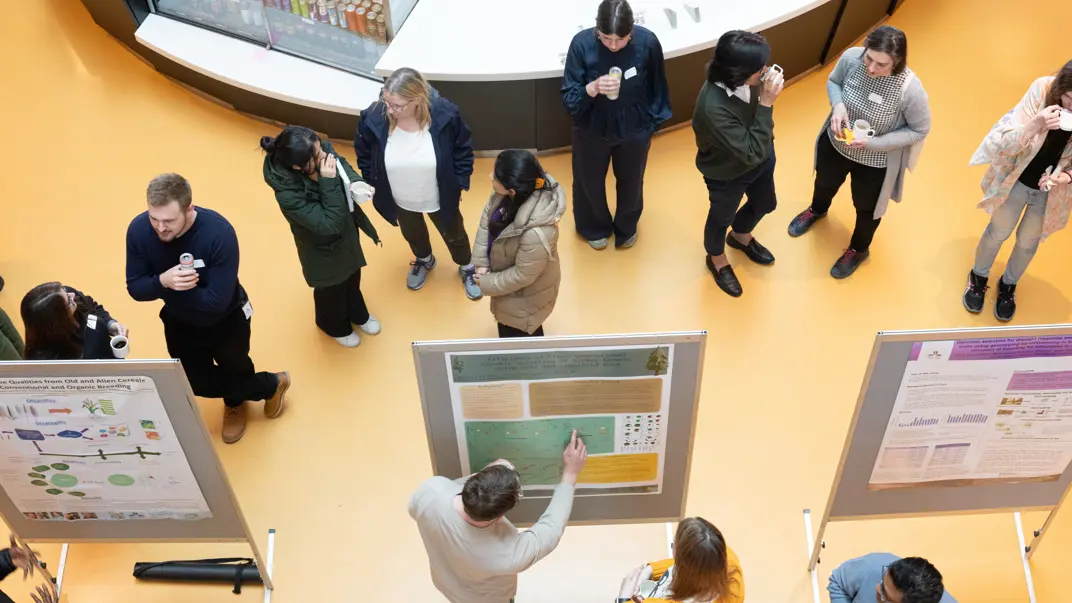 Poster session and fika combination