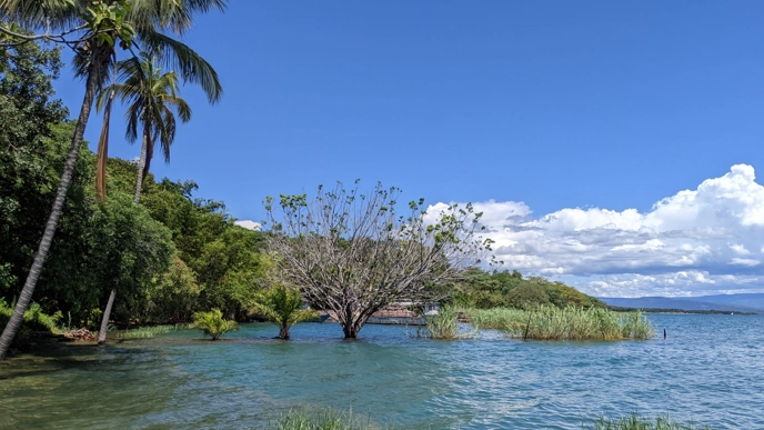 A serene tropical scene of a calm blue lake bordered by lush greenery and palm trees under a clear blue sky with white clouds in the background.