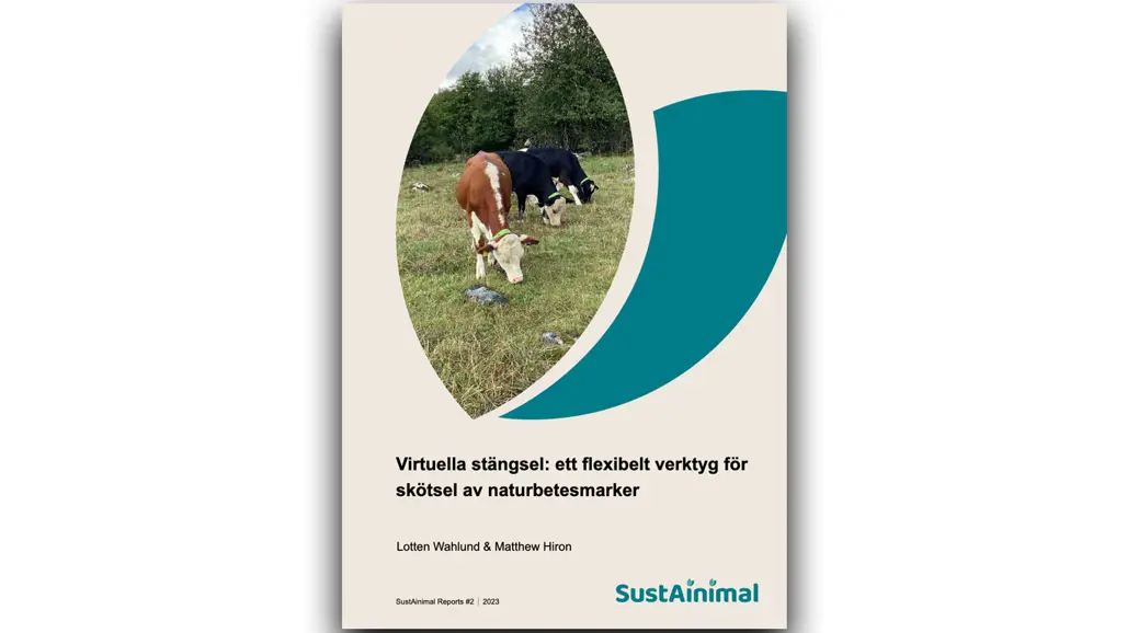 Framsida av rapport om virtuella stängsel.