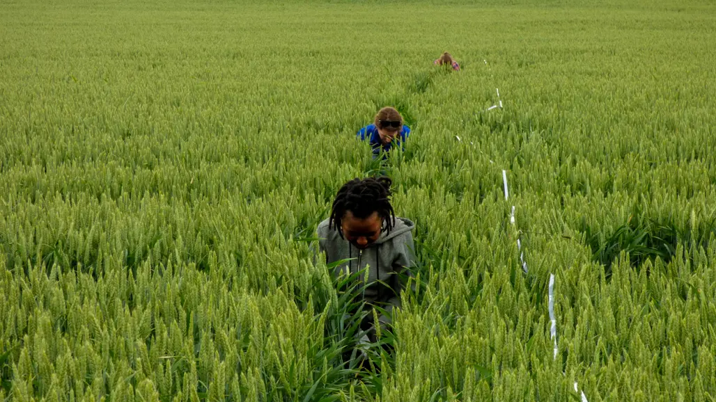 Three people in a row on a field. Photo.
