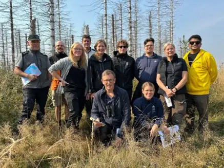 a group in dead forest