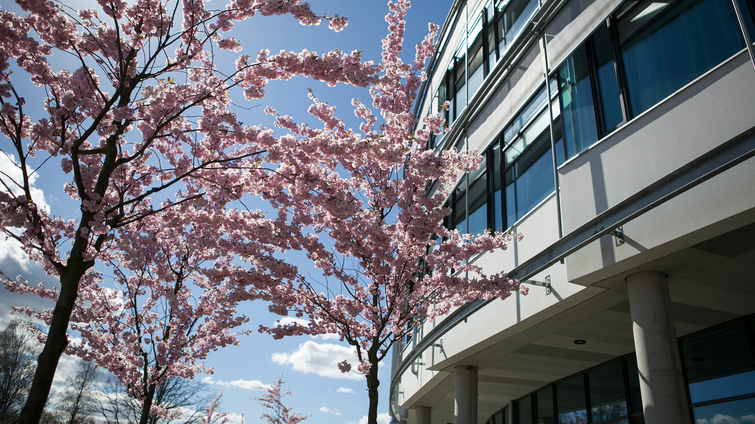 Vy över Veterinärmedicinskt och husdjursvetenskapligt centrum
