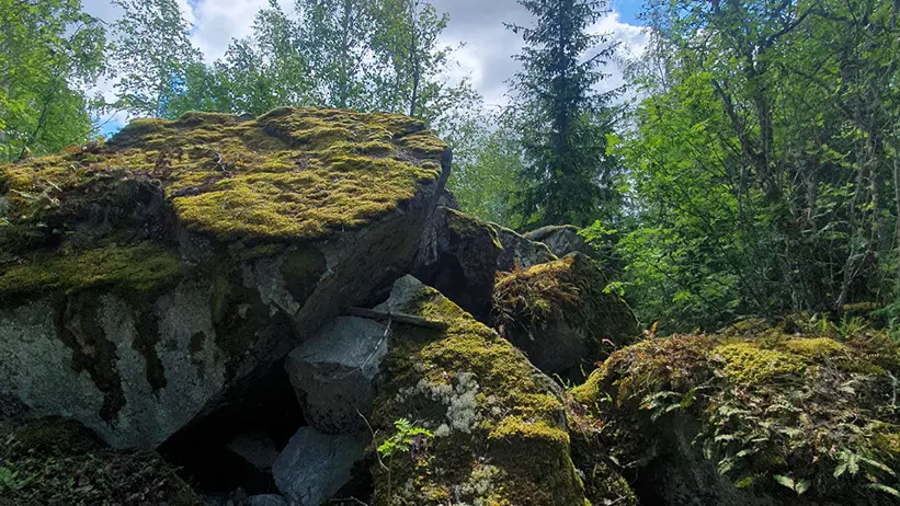 En naturscen med stora mossbeklädda stenar i förgrunden. Stenarna omges av tät grön växtlighet och höga träd. Himlen är delvis molnig med blå fläckar som syns genom molnen. Solljus silas genom träden och skapar fläckvis ljus på stenarna och skogsmarken. Foto.