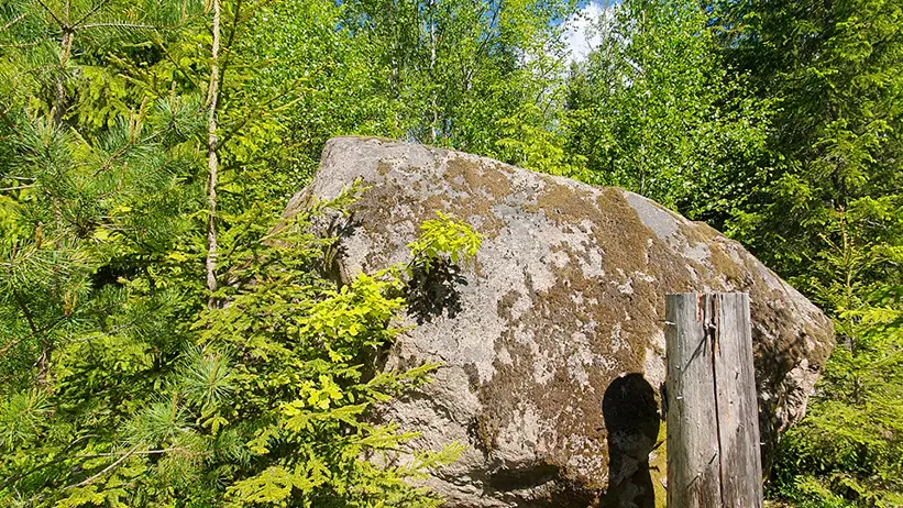 Ett stort klippblock omges av frodig grön vegetation, inklusive olika träd och buskar. Himlen är klarblå, vilket tyder på en solig dag. I förgrunden, till höger om klippblocket, syns en gammal trädstam. Foto.