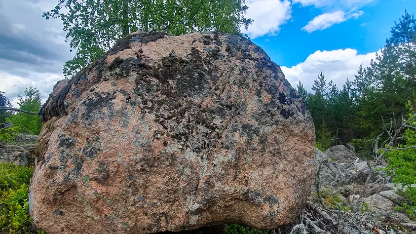 Ett stort, oregelbundet format klippblock med skrovlig yta står på en mark täckt av mossa och små växter. Bakom klippblocket finns ett högt träd med gröna blad. Himlen ovan är klarblå med utspridda vita moln. I bakgrunden syns mer grönska och träd. Foto.