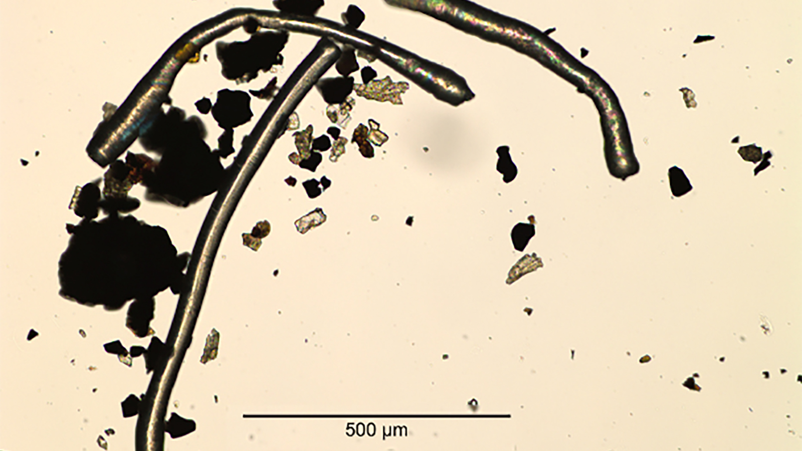 Mikroplaster mikroskop