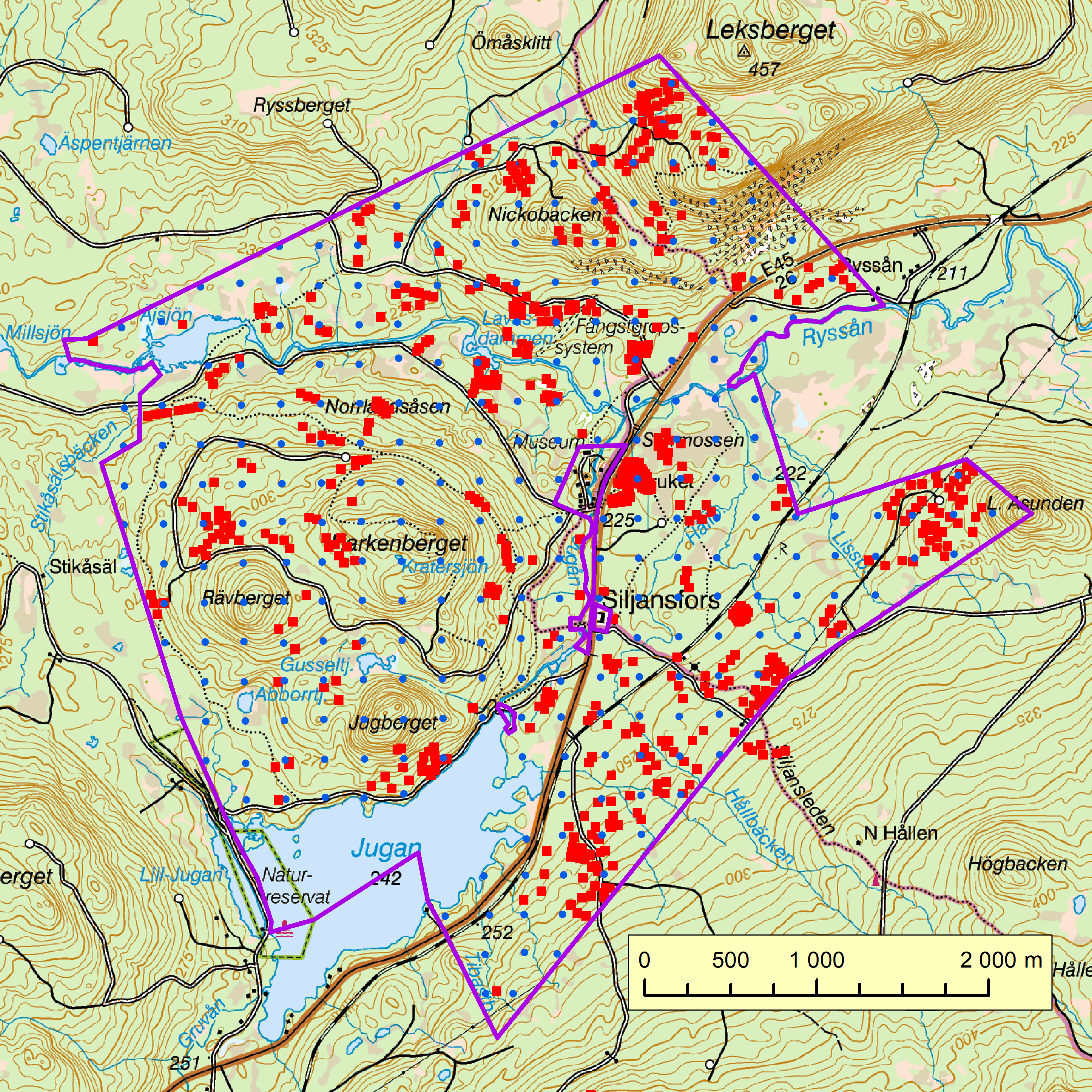 Map of the experimental forest