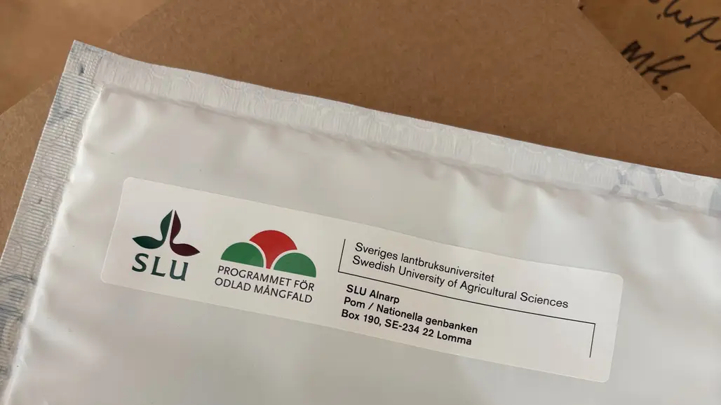 Ett vadderat kuvert med adressetikett från Nationella genbanken ligger ovanpå ett brunt paket.