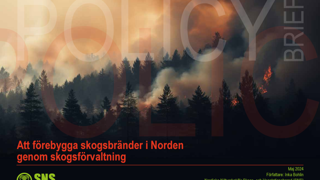 Framsida på policy brief. Bild.