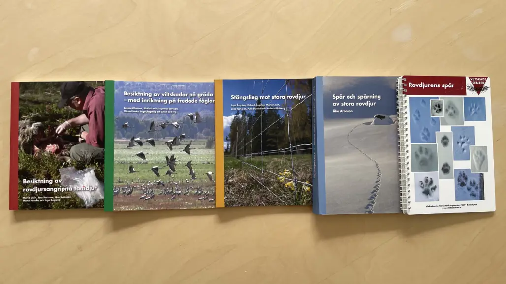 Fem böcker ligger på ett bord