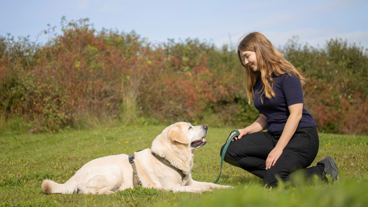 Woman wearing a blue sweater and black pants sitting down on one knee. In front of her is a light yellow dog lying on a lawn. In the background are green bushes and a blue sky.